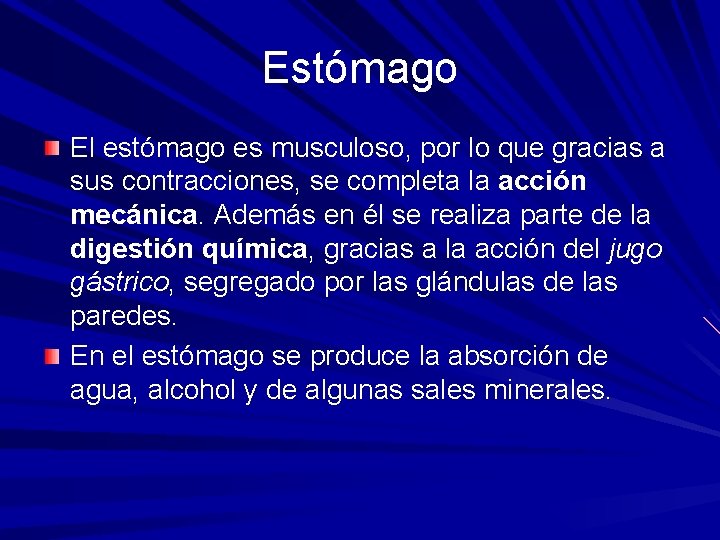 Estómago El estómago es musculoso, por lo que gracias a sus contracciones, se completa