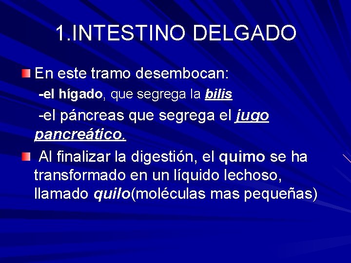 1. INTESTINO DELGADO En este tramo desembocan: -el hígado, que segrega la bilis -el