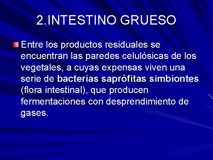 2. INTESTINO GRUESO Entre los productos residuales se encuentran las paredes celulósicas de los