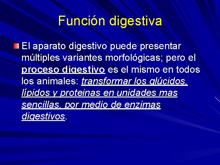 Función digestiva El aparato digestivo puede presentar múltiples variantes morfológicas; pero el proceso digestivo