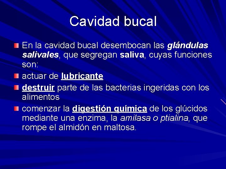 Cavidad bucal En la cavidad bucal desembocan las glándulas salivales, que segregan saliva, cuyas