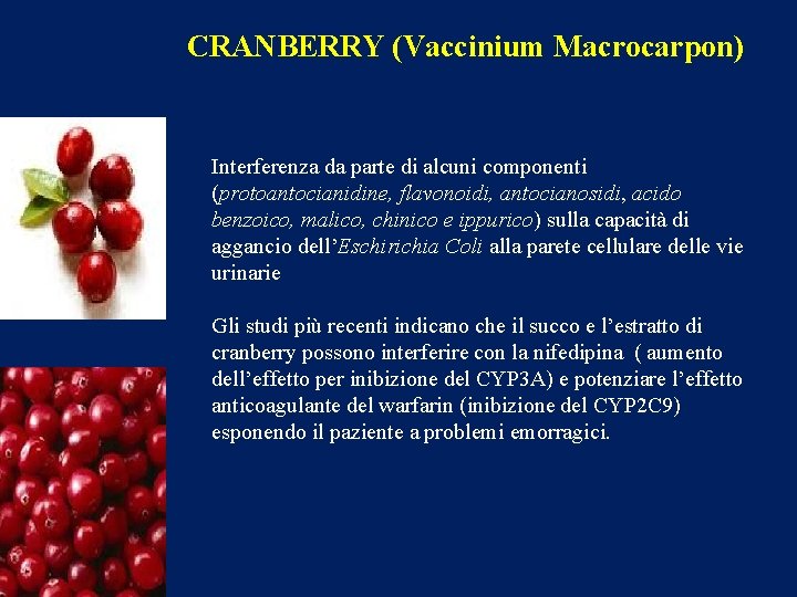 CRANBERRY (Vaccinium Macrocarpon) Interferenza da parte di alcuni componenti (protoantocianidine, flavonoidi, antocianosidi, acido benzoico,
