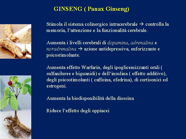 GINSENG ( Panax Ginseng) Stimola il sistema colinergico intracerebrale controlla la memoria, l’attenzione e