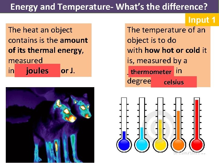 Energy and Temperature- What’s the difference? The heat an object contains is the amount