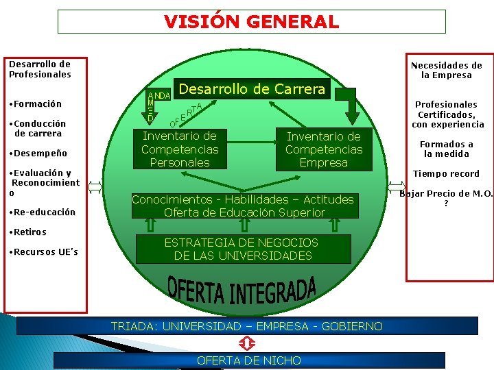 VISIÓN GENERAL Desarrollo de Profesionales Necesidades de la Empresa Desarrollo de Carrera • Formación