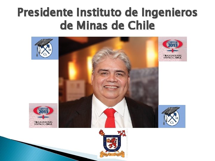 Presidente Instituto de Ingenieros de Minas de Chile 