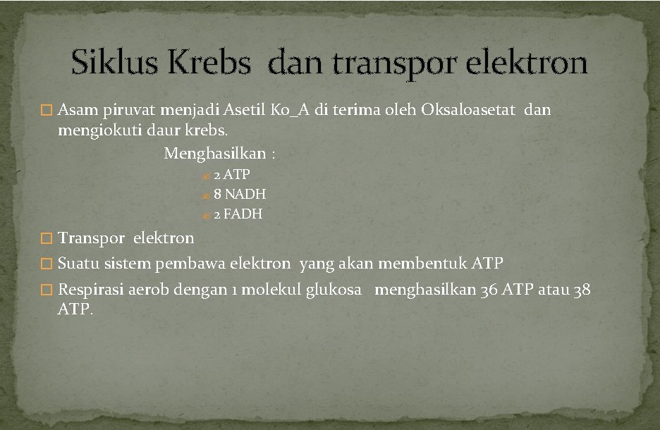 Siklus Krebs dan transpor elektron � Asam piruvat menjadi Asetil Ko_A di terima oleh Siklus Krebs dan transpor elektron � Asam piruvat menjadi Asetil Ko_A di terima oleh