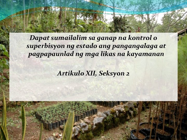Dapat sumailalim sa ganap na kontrol o superbisyon ng estado ang pangangalaga at pagpapaunlad