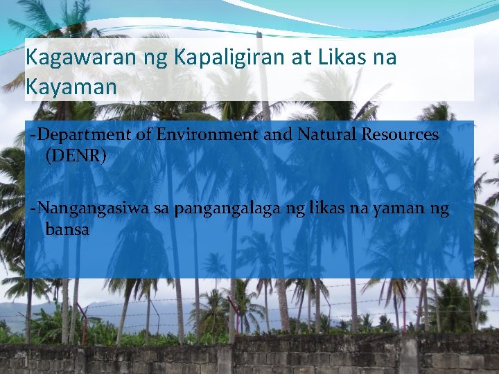 Kagawaran ng Kapaligiran at Likas na Kayaman -Department of Environment and Natural Resources (DENR)