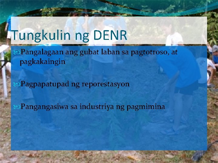 Tungkulin ng DENR Pangalagaan ang gubat laban sa pagtotroso, at pagkakaingin Pagpapatupad ng reporestasyon