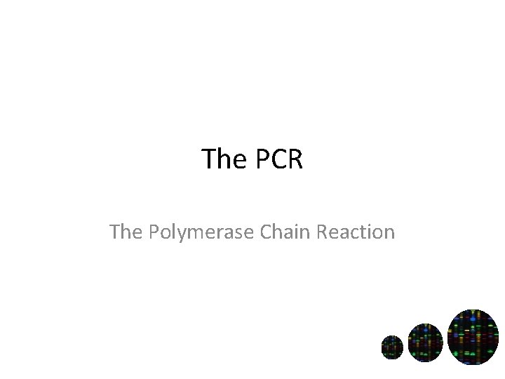 The PCR The Polymerase Chain Reaction 