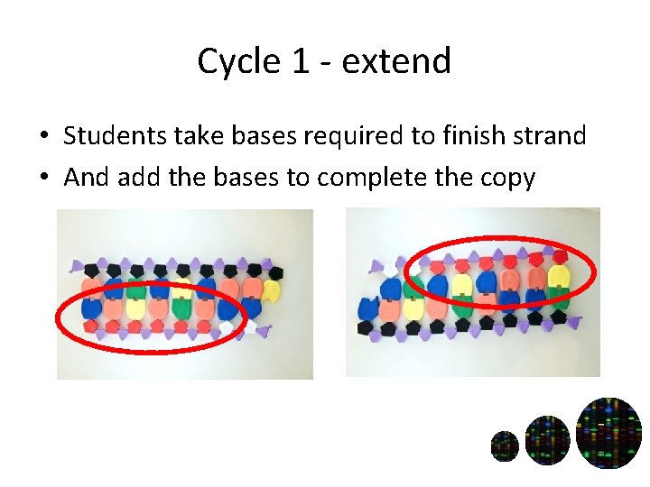 Cycle 1 - extend • Students take bases required to finish strand • And