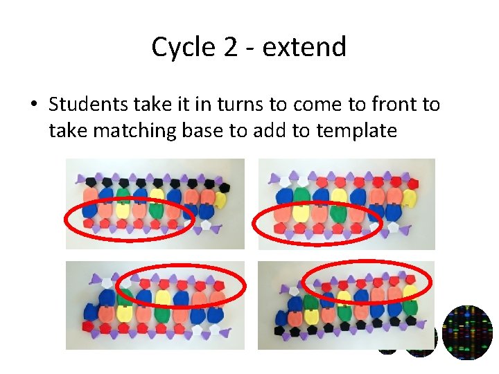 Cycle 2 - extend • Students take it in turns to come to front