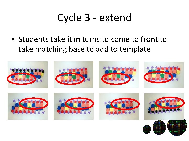 Cycle 3 - extend • Students take it in turns to come to front
