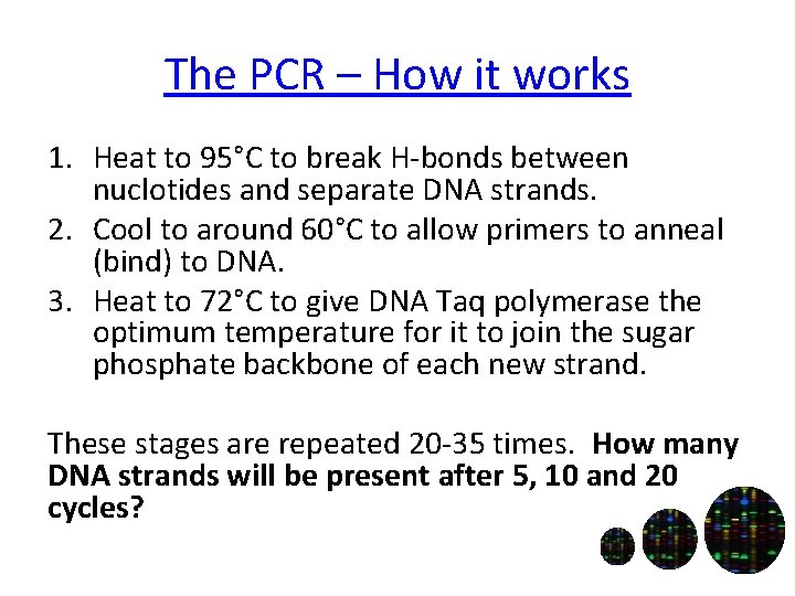 The PCR – How it works 1. Heat to 95°C to break H-bonds between