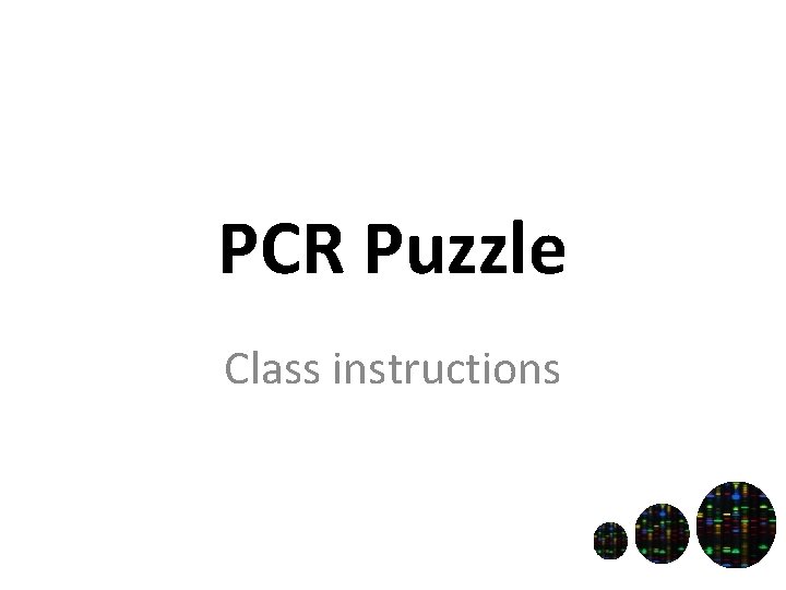 PCR Puzzle Class instructions 