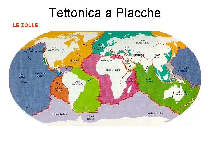 Tettonica a Placche LE ZOLLE 