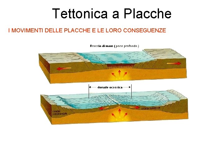 Tettonica a Placche I MOVIMENTI DELLE PLACCHE E LE LORO CONSEGUENZE 