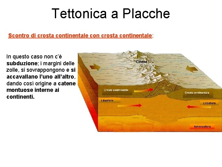 Tettonica a Placche Scontro di crosta continentale con crosta continentale: In questo caso non