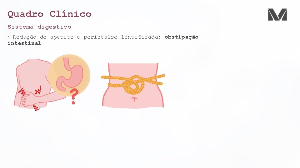 Quadro Clínico Sistema digestivo • Redução de apetite e peristalse lentificada: obstipação intestinal Quadro Clínico Sistema digestivo • Redução de apetite e peristalse lentificada: obstipação intestinal