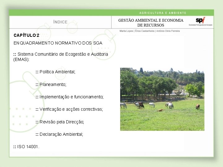 CAPÍTULO 2 ENQUADRAMENTO NORMATIVO DOS SGA : : Sistema Comunitário de Ecogestão e Auditoria