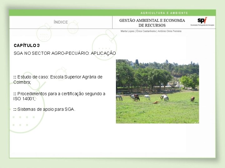 CAPÍTULO 3 SGA NO SECTOR AGRO-PECUÁRIO: APLICAÇÃO : : Estudo de caso: Escola Superior