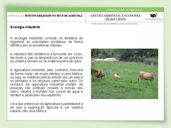 CAPÍTULO 4 ● SUSTENTABILIDADE NO SECTOR AGRÍCOLA Ecologia industrial A ecologia industrial consiste na