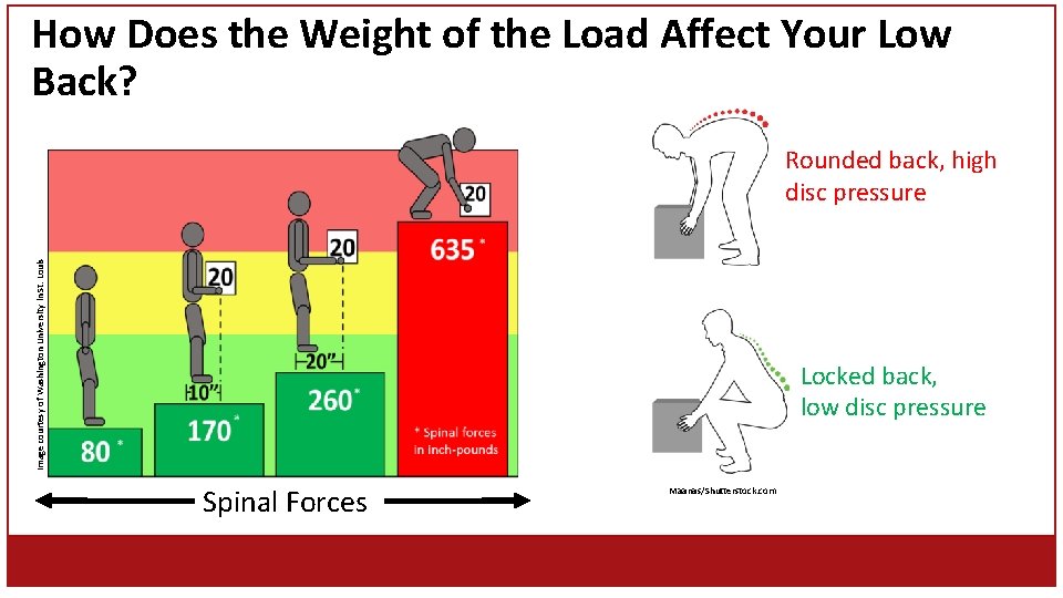 How Does the Weight of the Load Affect Your Low Back? Rounded back, high