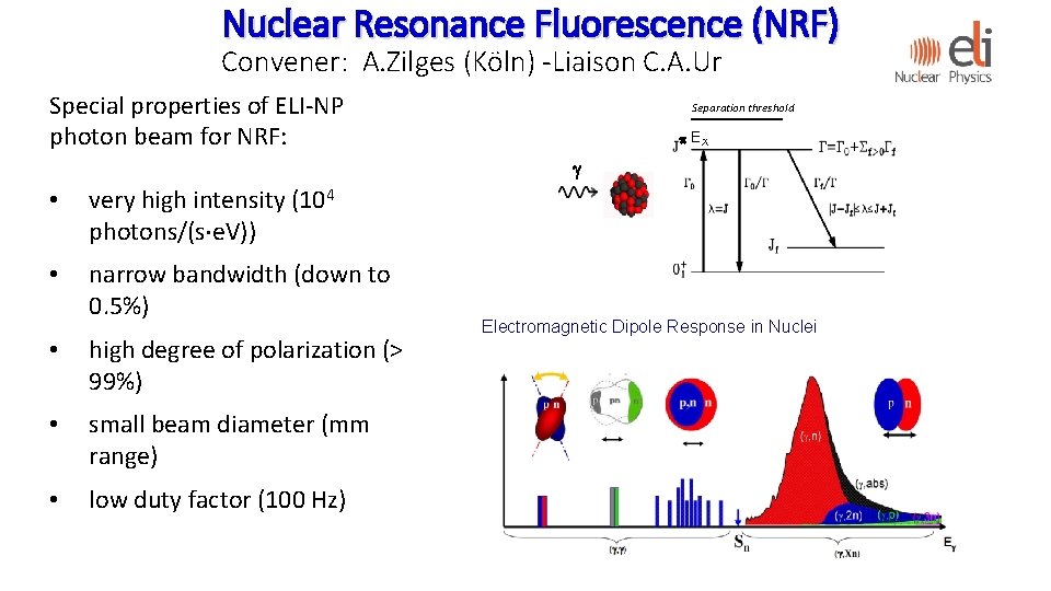 Nuclear Resonance Fluorescence (NRF) Convener: A. Zilges (Köln) -Liaison C. A. Ur Special properties Nuclear Resonance Fluorescence (NRF) Convener: A. Zilges (Köln) -Liaison C. A. Ur Special properties