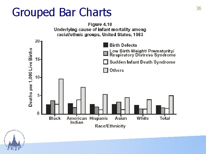 Grouped Bar Charts 36 