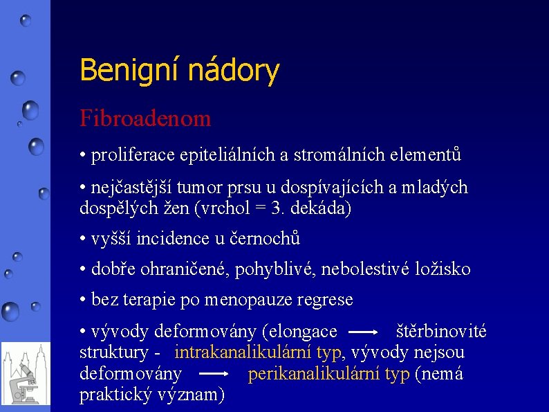 Benigní nádory Fibroadenom • proliferace epiteliálních a stromálních elementů • nejčastější tumor prsu u