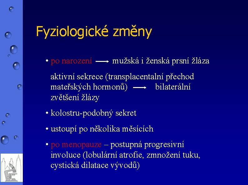 Fyziologické změny • po narození mužská i ženská prsní žláza aktivní sekrece (transplacentalní přechod