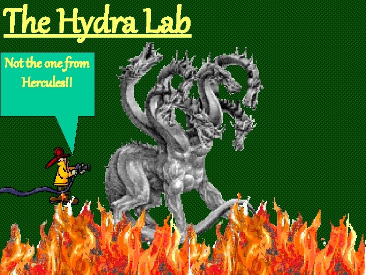 The Hydra Lab Not the one from Hercules!! 