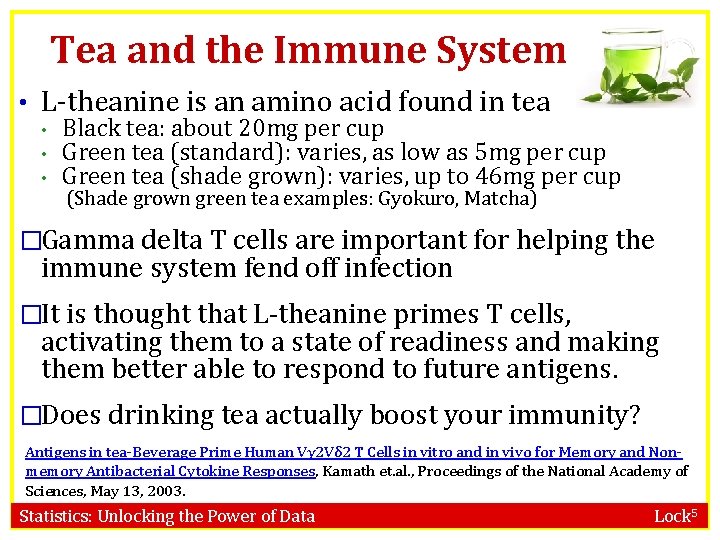 Tea and the Immune System • L-theanine is an amino acid found in tea