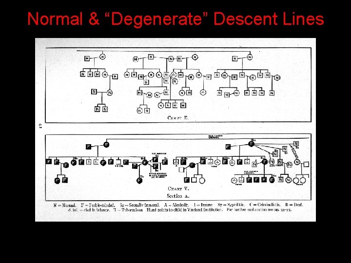 Normal & “Degenerate” Descent Lines Normal & “Degenerate” Descent Lines