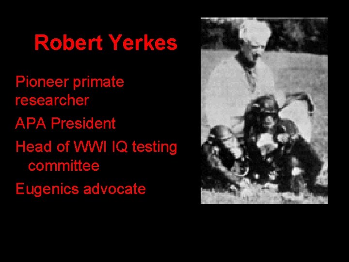 Robert Yerkes Pioneer primate researcher APA President Head of WWI IQ testing committee Eugenics Robert Yerkes Pioneer primate researcher APA President Head of WWI IQ testing committee Eugenics