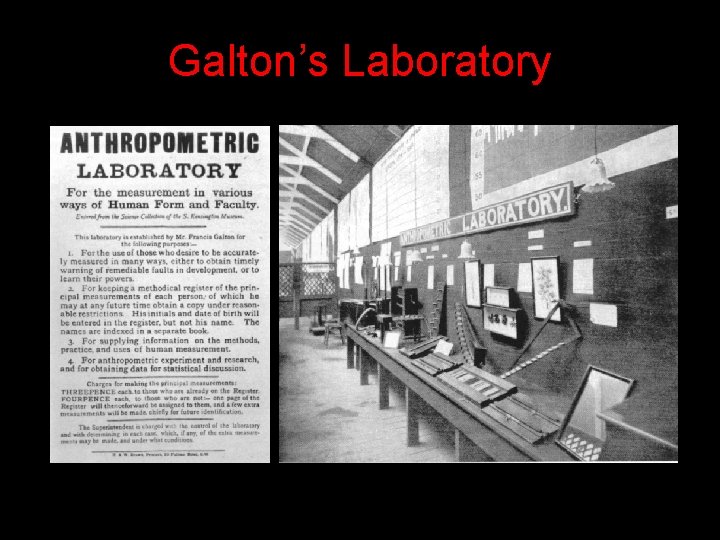Galton’s Laboratory Galton’s Laboratory