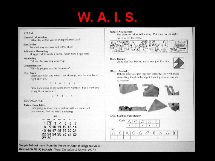 W. A. I. S. W. A. I. S.