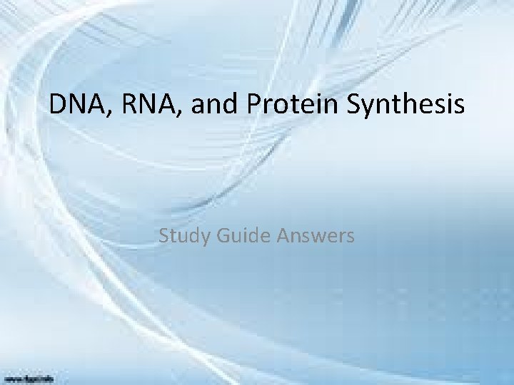 DNA, RNA, and Protein Synthesis Study Guide Answers 