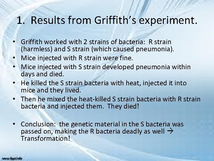 1. Results from Griffith’s experiment. • Griffith worked with 2 strains of bacteria: R