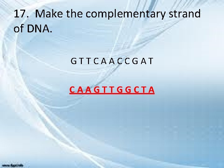 17. Make the complementary strand of DNA. GTTCAACCGAT CAAGTTGGCTA 