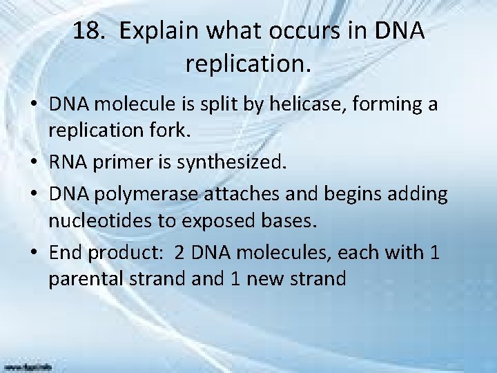 18. Explain what occurs in DNA replication. • DNA molecule is split by helicase,