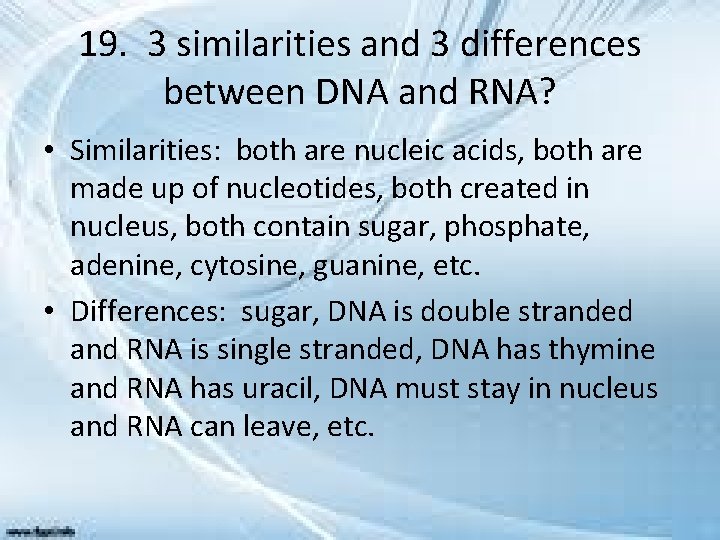 19. 3 similarities and 3 differences between DNA and RNA? • Similarities: both are