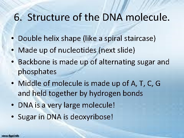 6. Structure of the DNA molecule. • Double helix shape (like a spiral staircase)