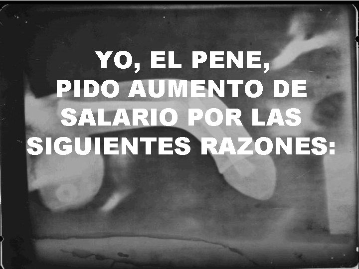 YO, EL PENE, PIDO AUMENTO DE SALARIO POR LAS SIGUIENTES RAZONES: 