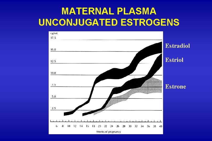 MATERNAL PLASMA UNCONJUGATED ESTROGENS Estradiol Estrone MATERNAL PLASMA UNCONJUGATED ESTROGENS Estradiol Estrone