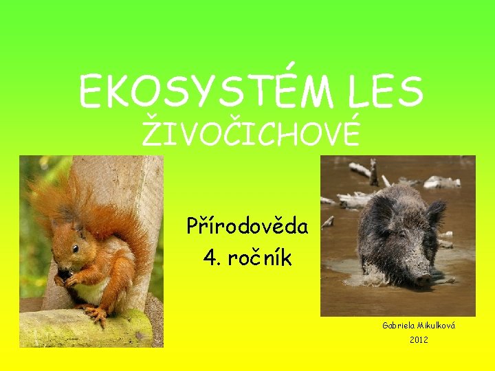 EKOSYSTÉM LES ŽIVOČICHOVÉ Přírodověda 4. ročník Gabriela Mikulková 2012 