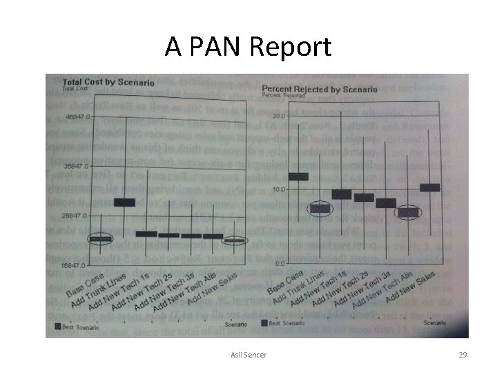 A PAN Report Asli Sencer 29 