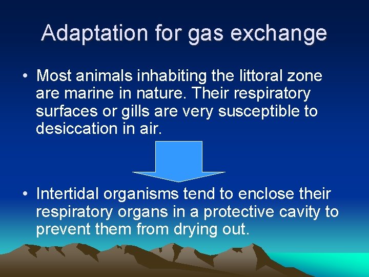 Adaptations of Animals in Rocky Shores Adaptations to