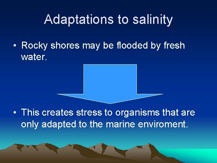 Adaptations of Animals in Rocky Shores Adaptations to
